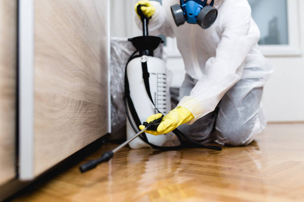 Best Wildlife Control Services  in Edgewater, NJ
