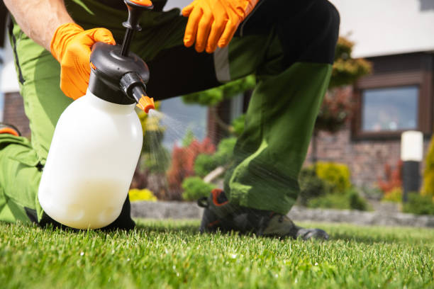 Pest Control Cost in Edgewater, NJ