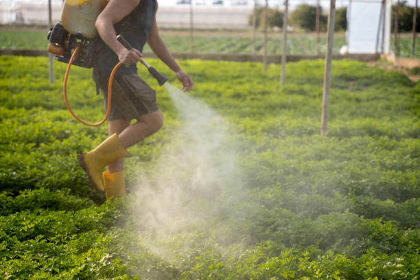 Best Mosquito Control Services  in Edgewater, NJ