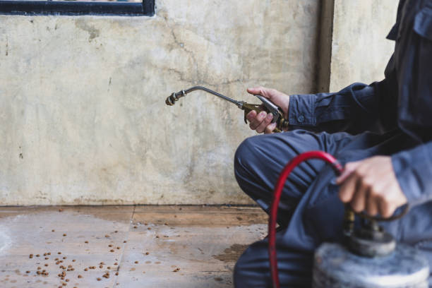 Best Best Pest Control Companies  in Edgewater, NJ