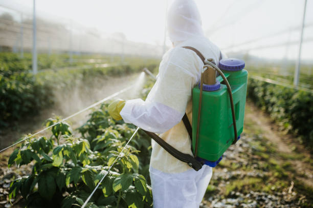 Best Pest Control Cost  in Edgewater, NJ